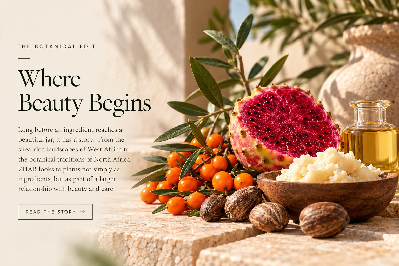 The Botanical Edit: Where Beauty Begins. Halved prickly pear, sea buckthorn, shea nuts and whipped shea on travertine